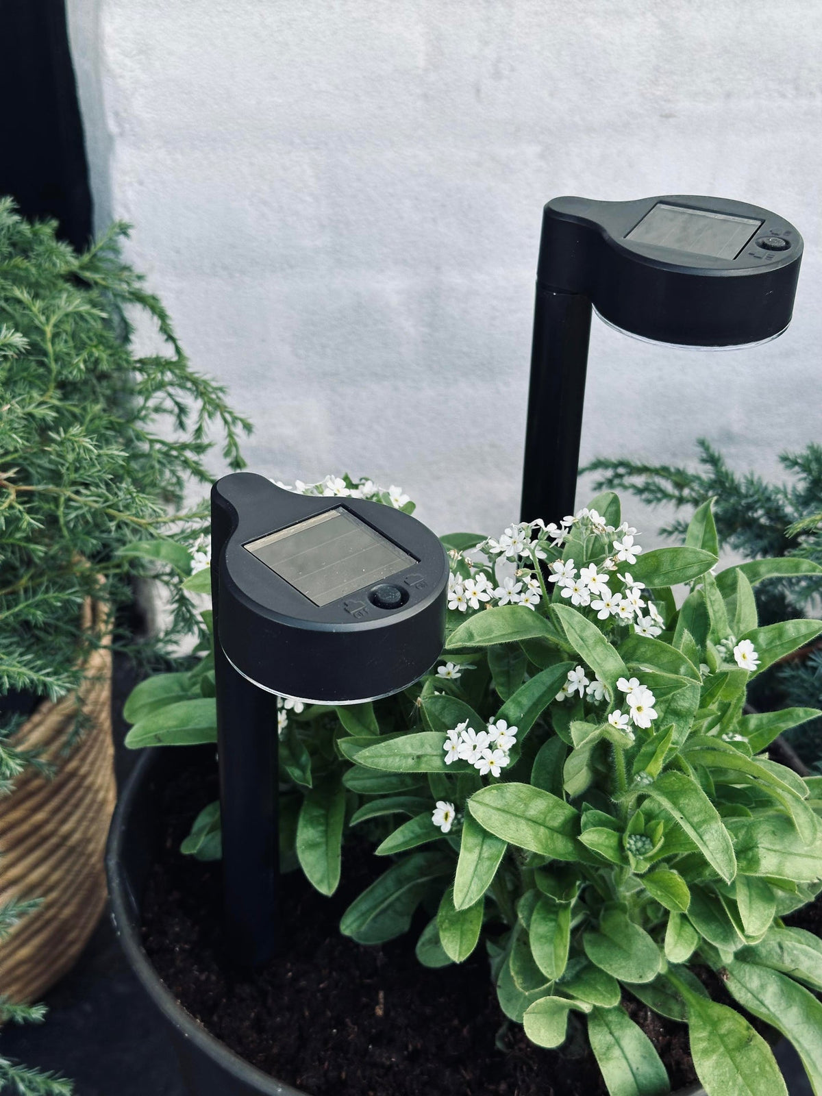 Lampe de jardin Nancy solaire – lot de 4