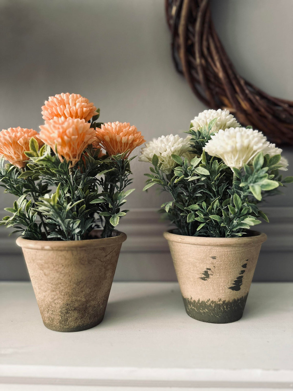 Fleur en pot rustique - Coral