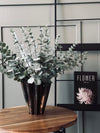 Eucalyptus sur tige