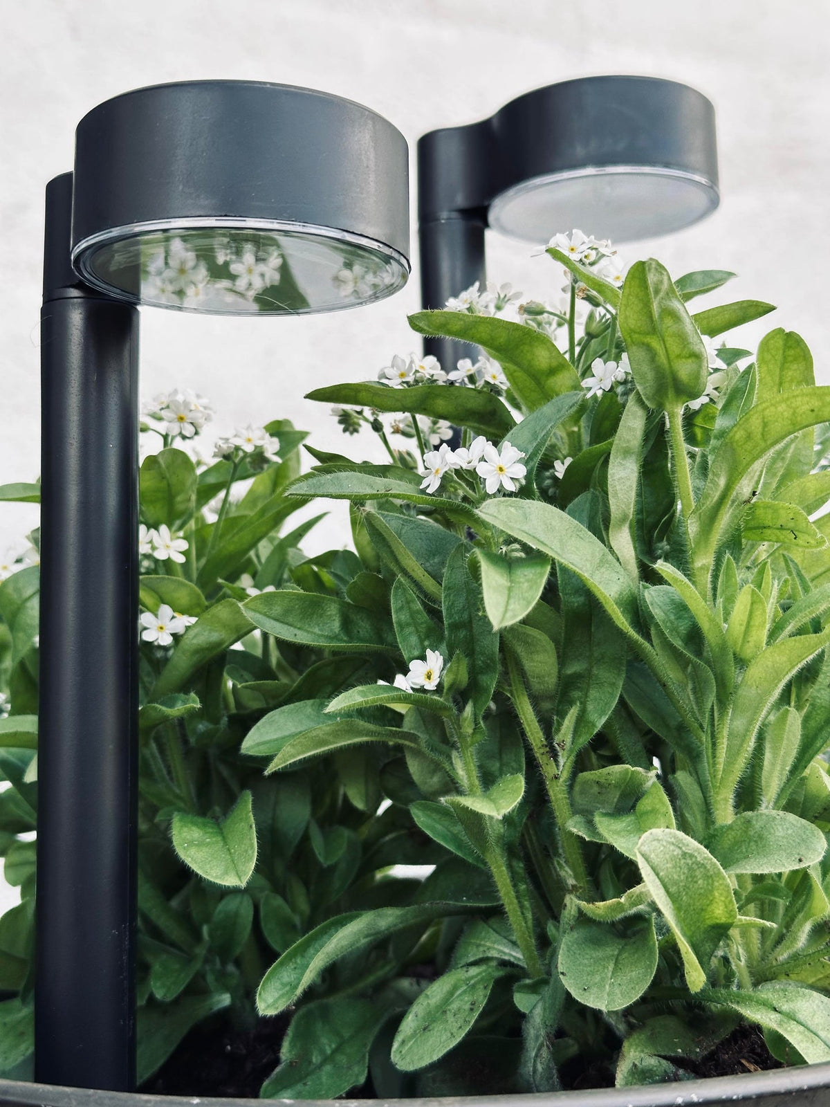 Lampe de jardin Nancy solaire – lot de 4