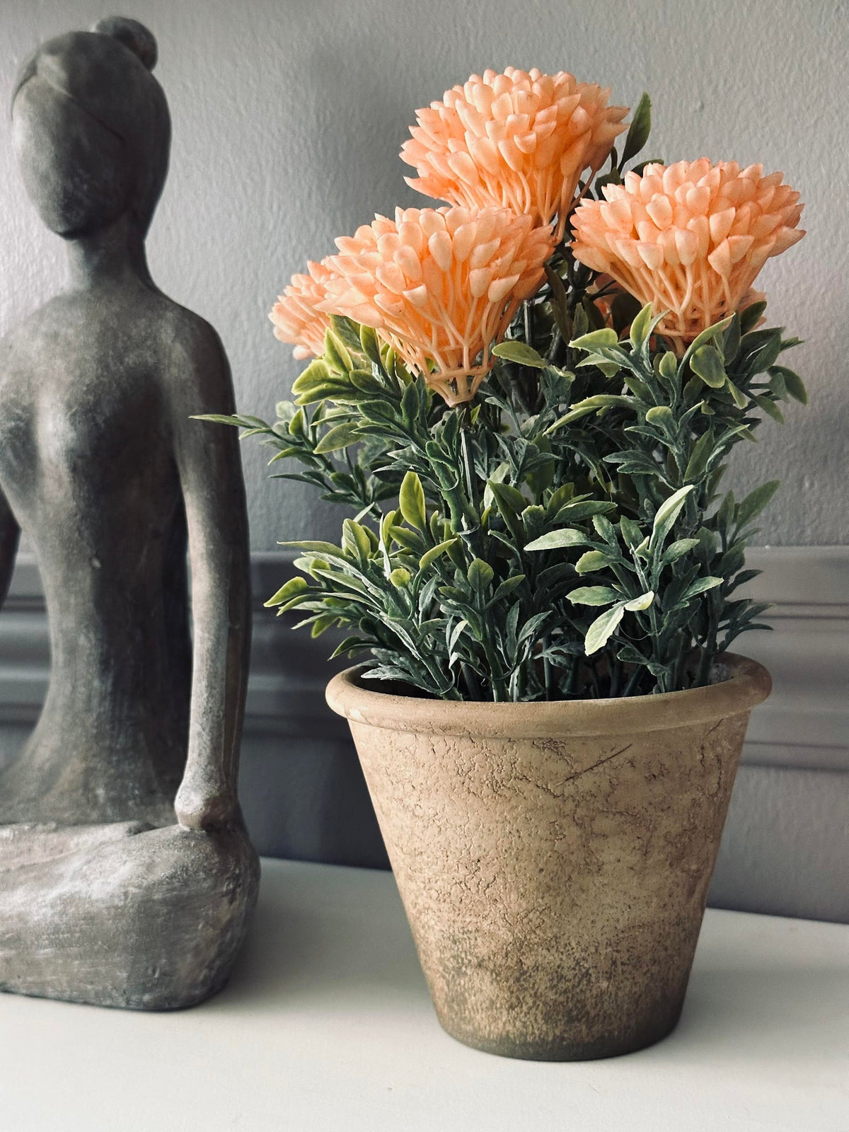 Fleur en pot rustique - Coral