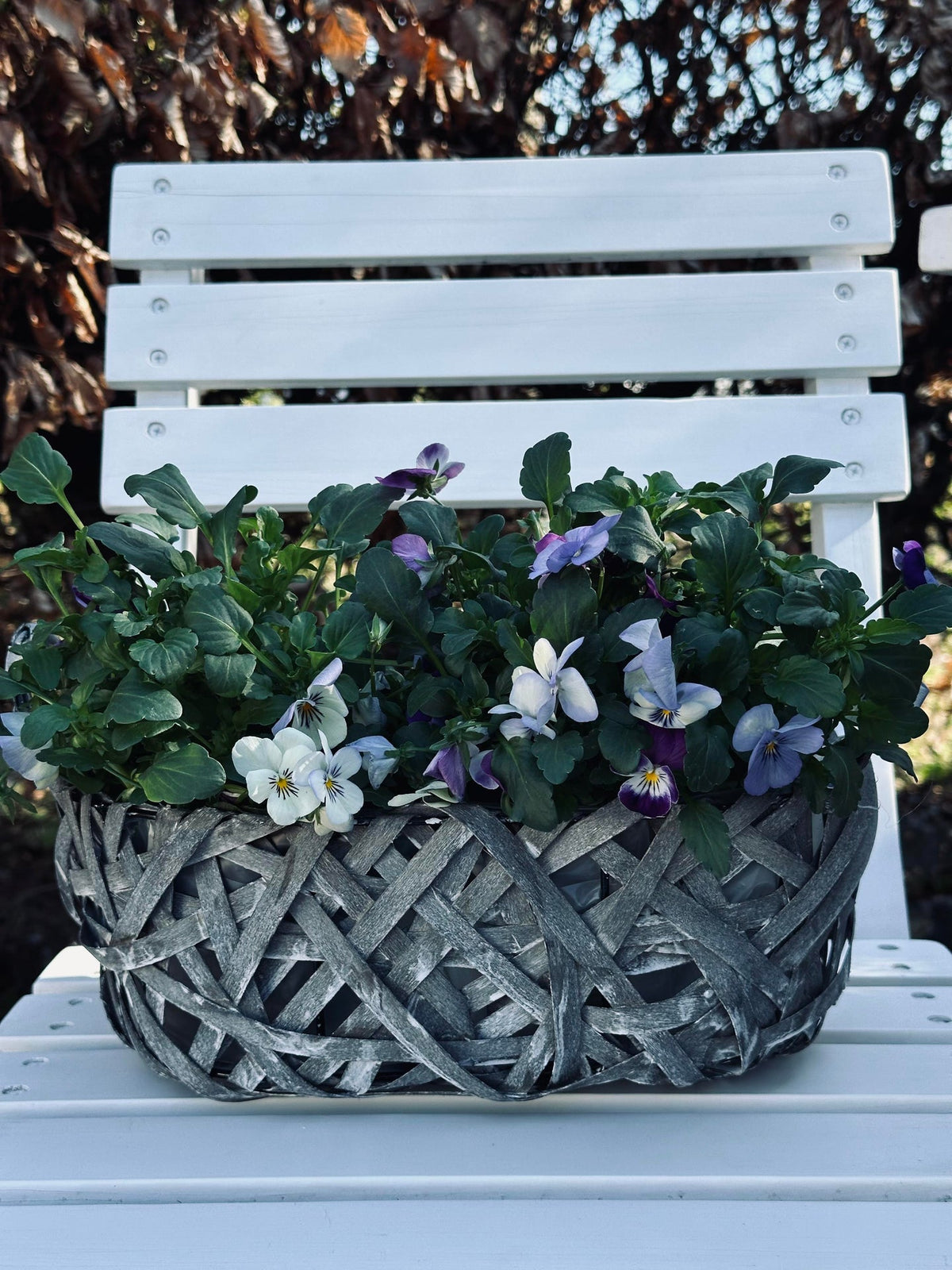Corbeilles à plantes - Lot de 2 pièces