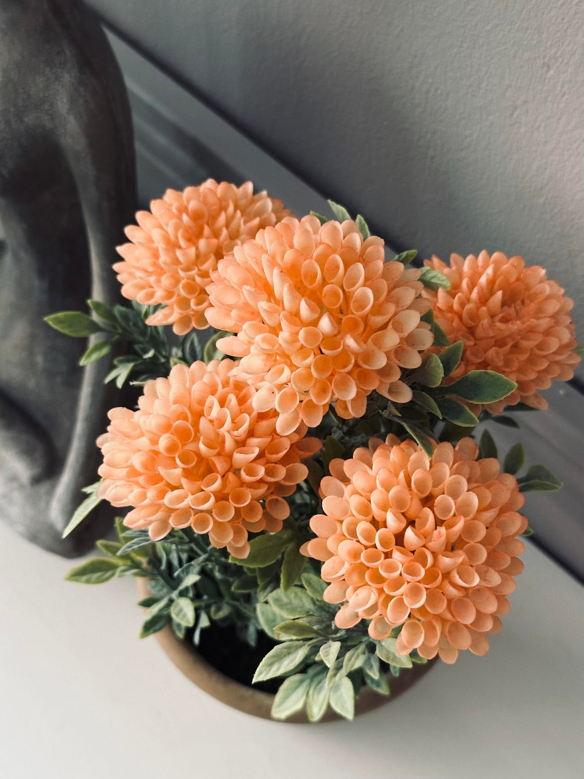 Fleur en pot rustique - Coral