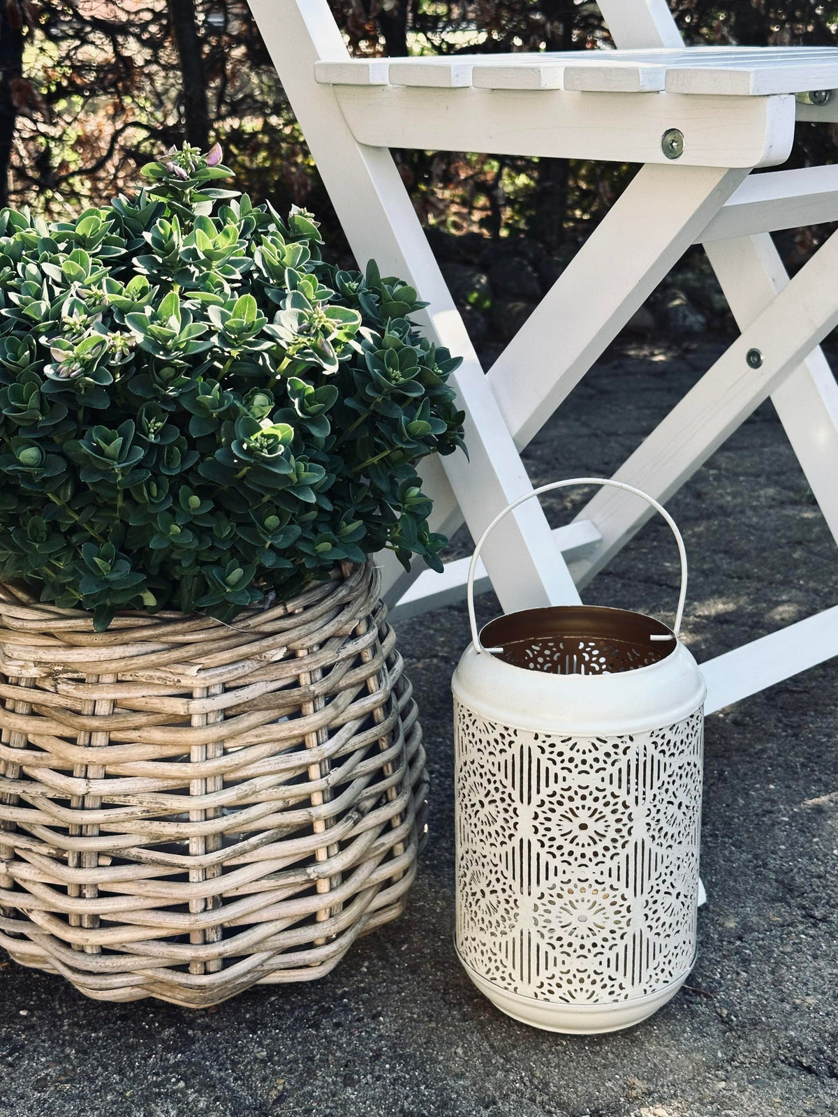 Panier à plantes Goutte