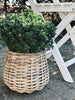 Panier à plantes Goutte