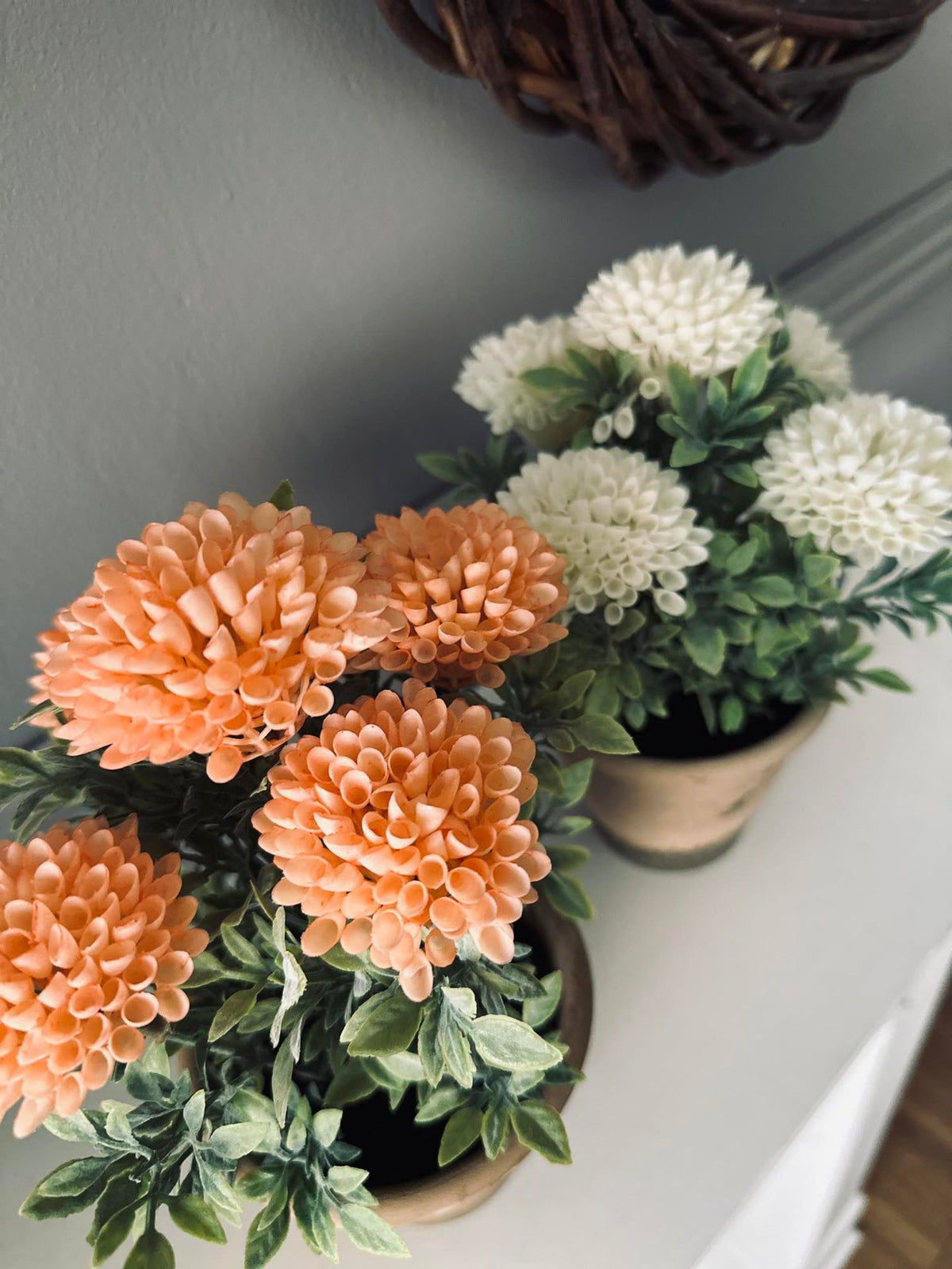 Fleur en pot rustique - Coral