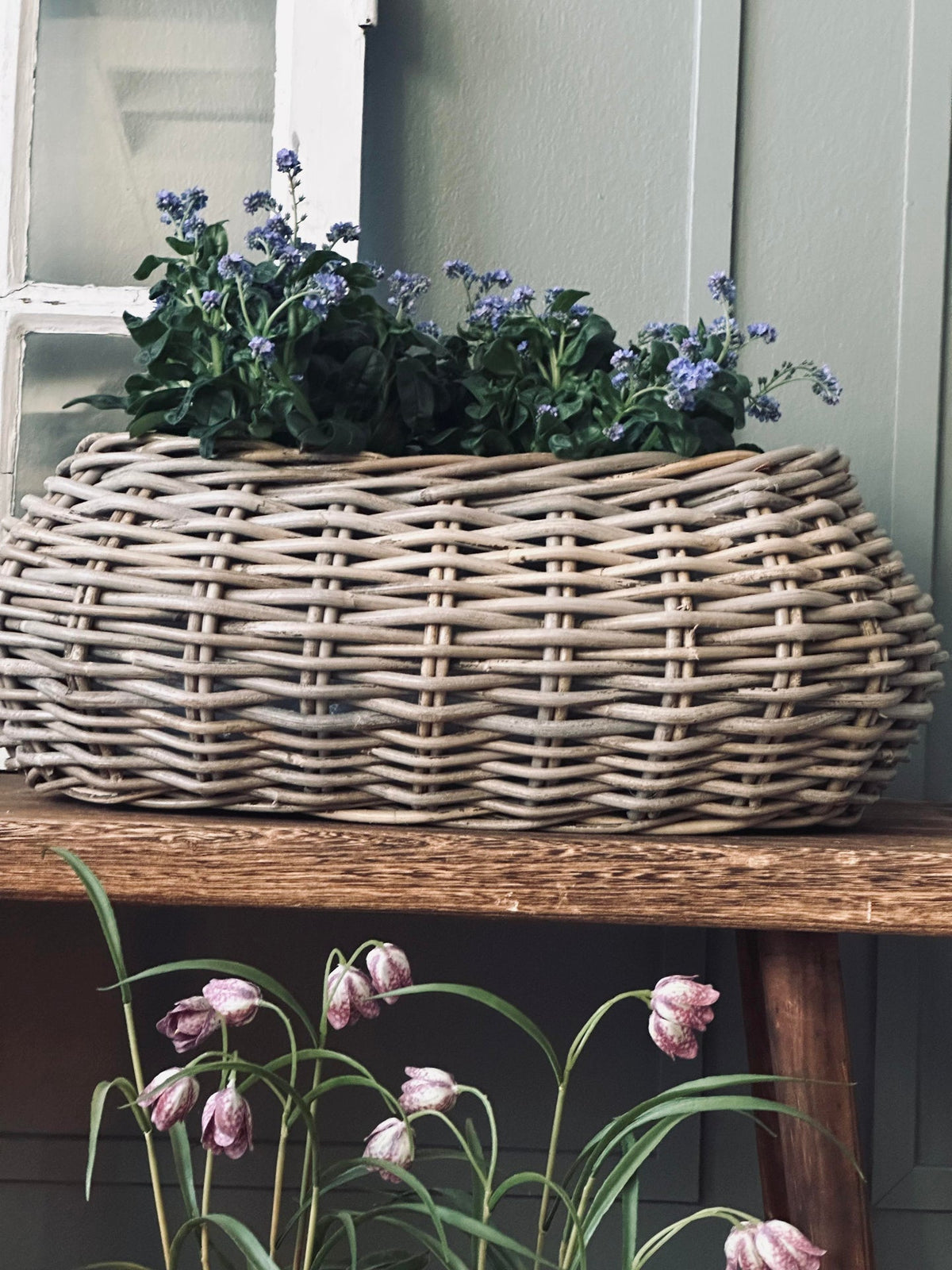 Paniers pour plantes - Lot de 2 pièces. Rotin ovale