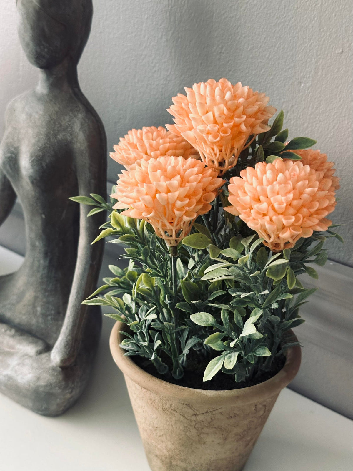 Fleur en pot rustique - Coral