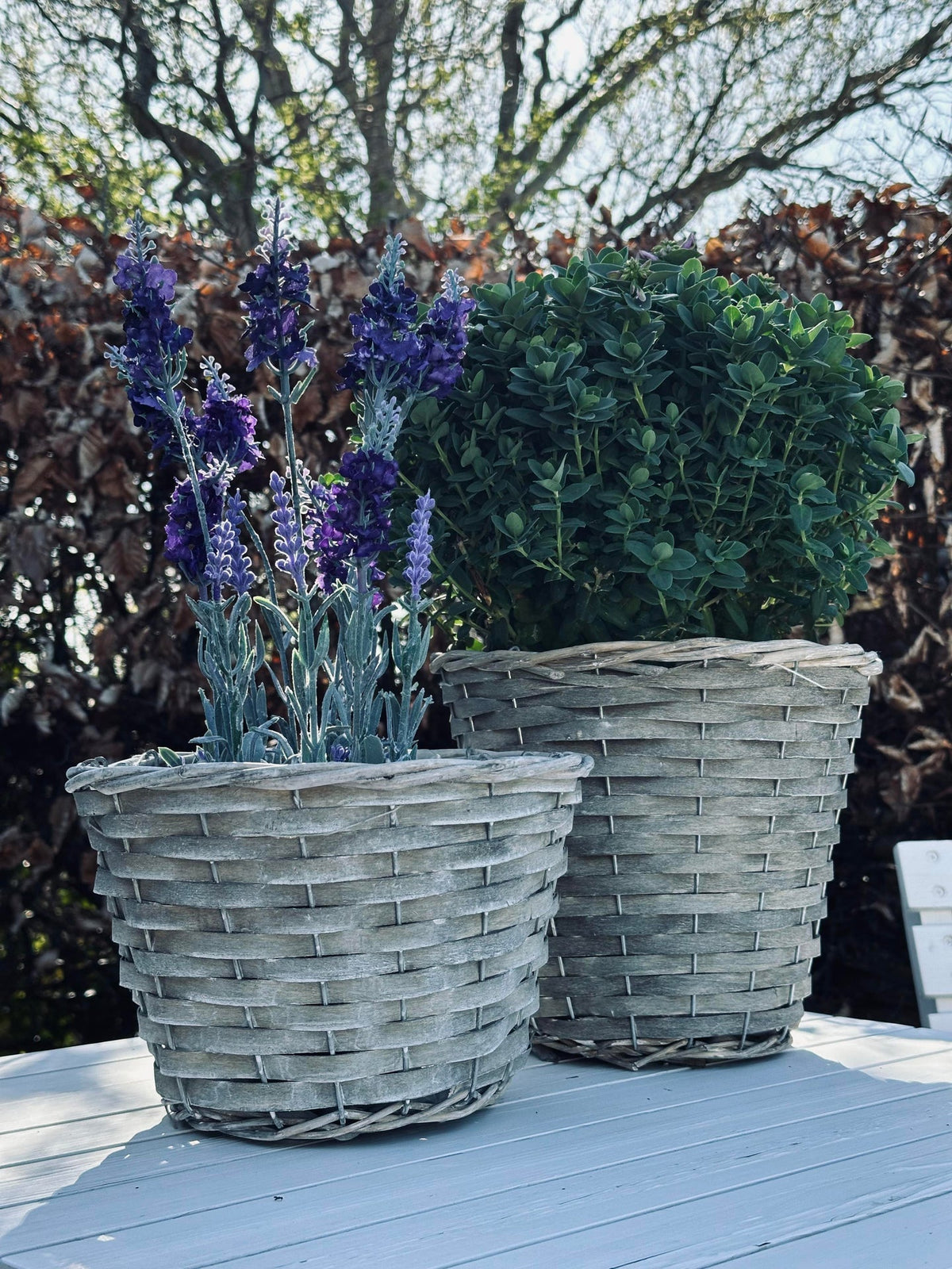 Panier à plantes 15 cm