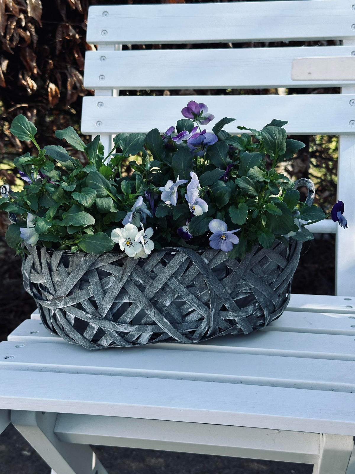 Corbeilles à plantes - Lot de 2 pièces