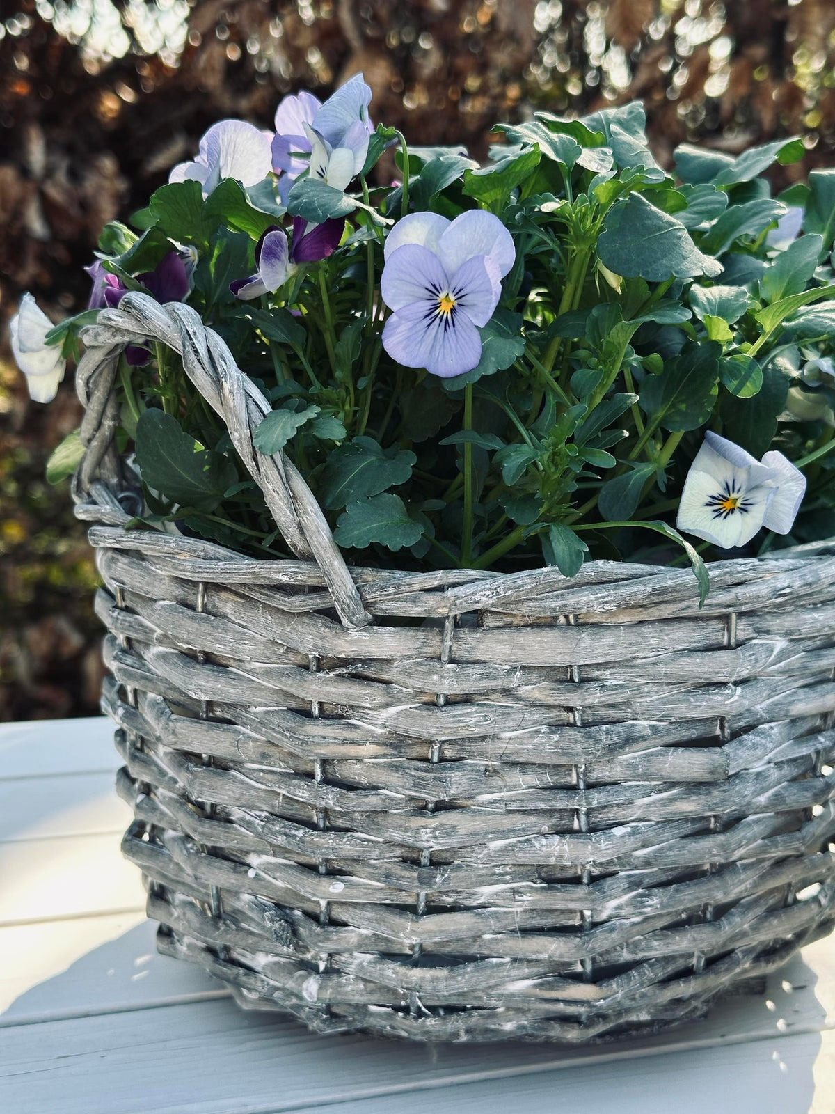 Corbeilles à plantes - Lot de 3 pces