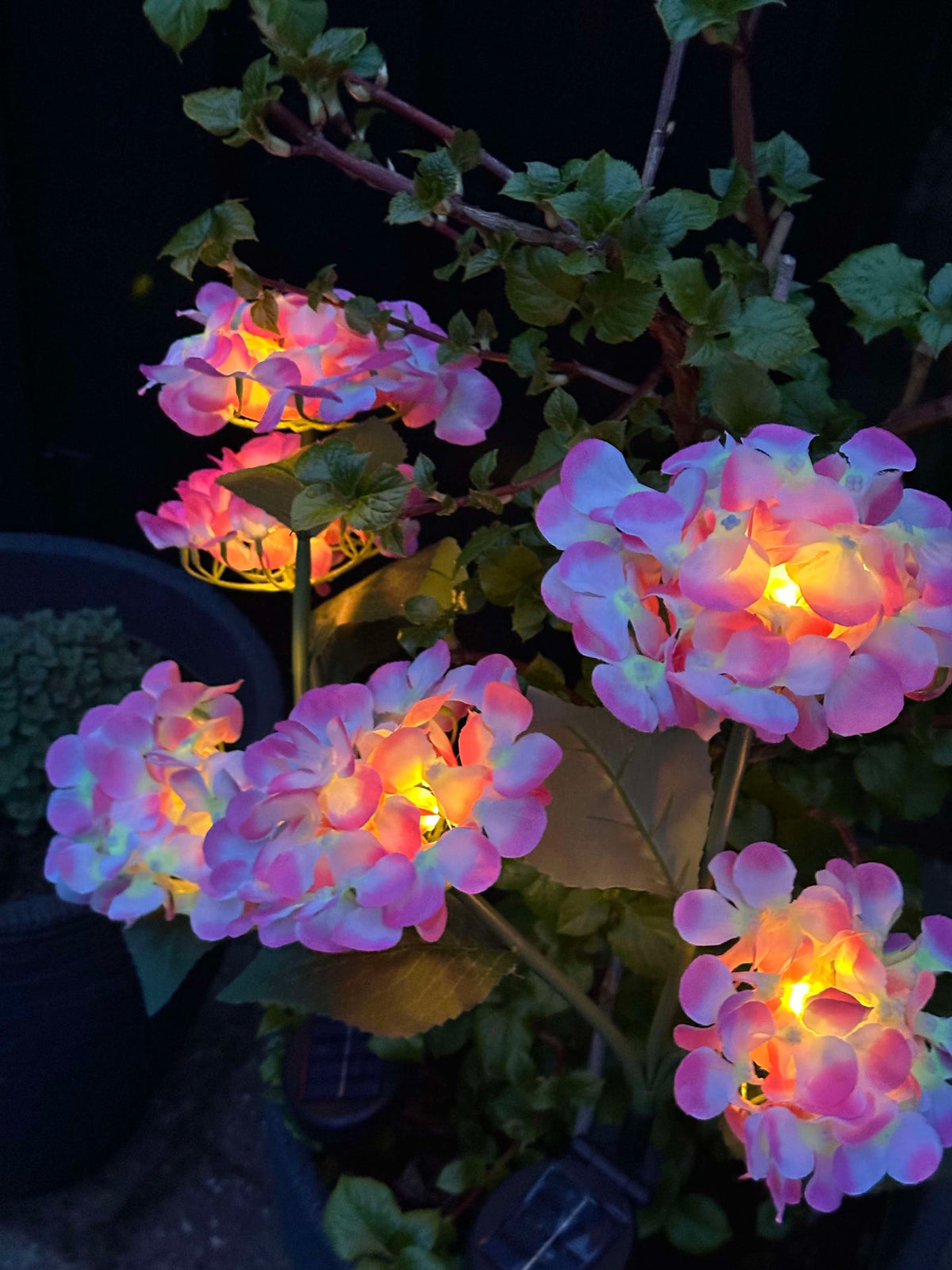 Hortensia à énergie solaire