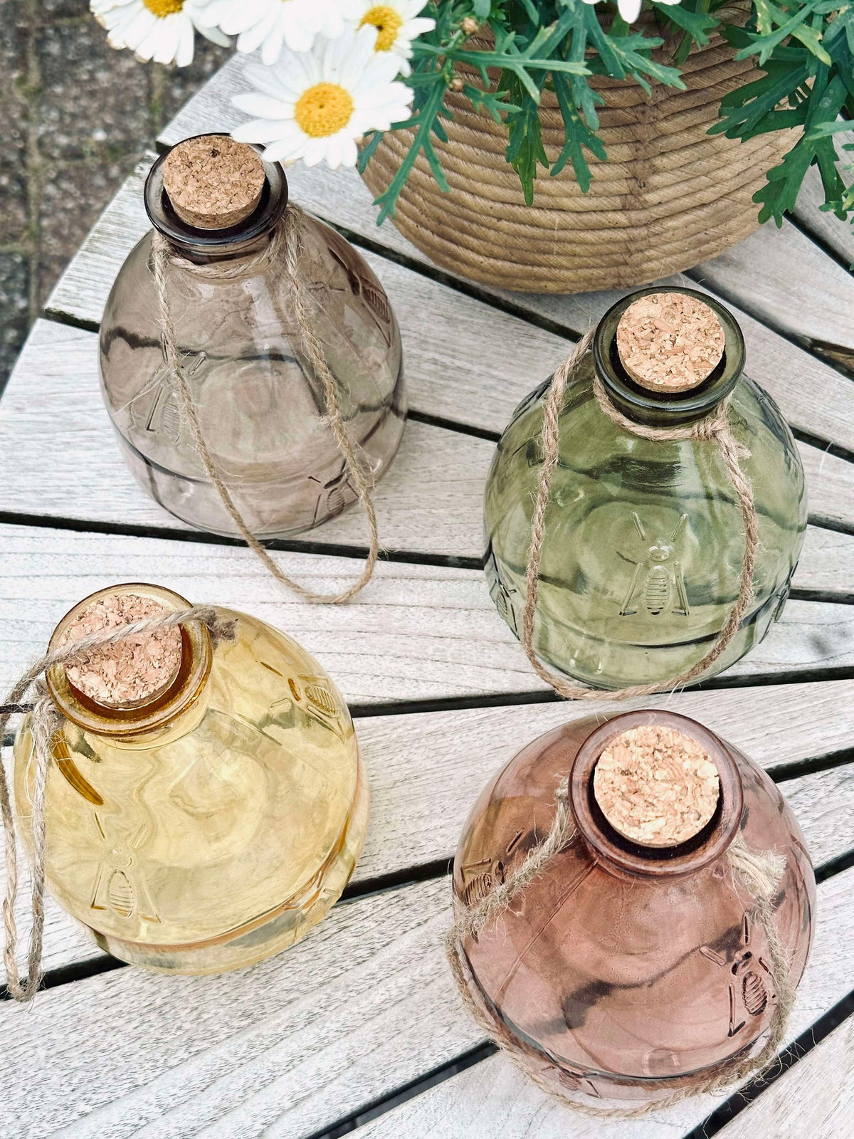 Piège à guêpes BIG  – assortiment
