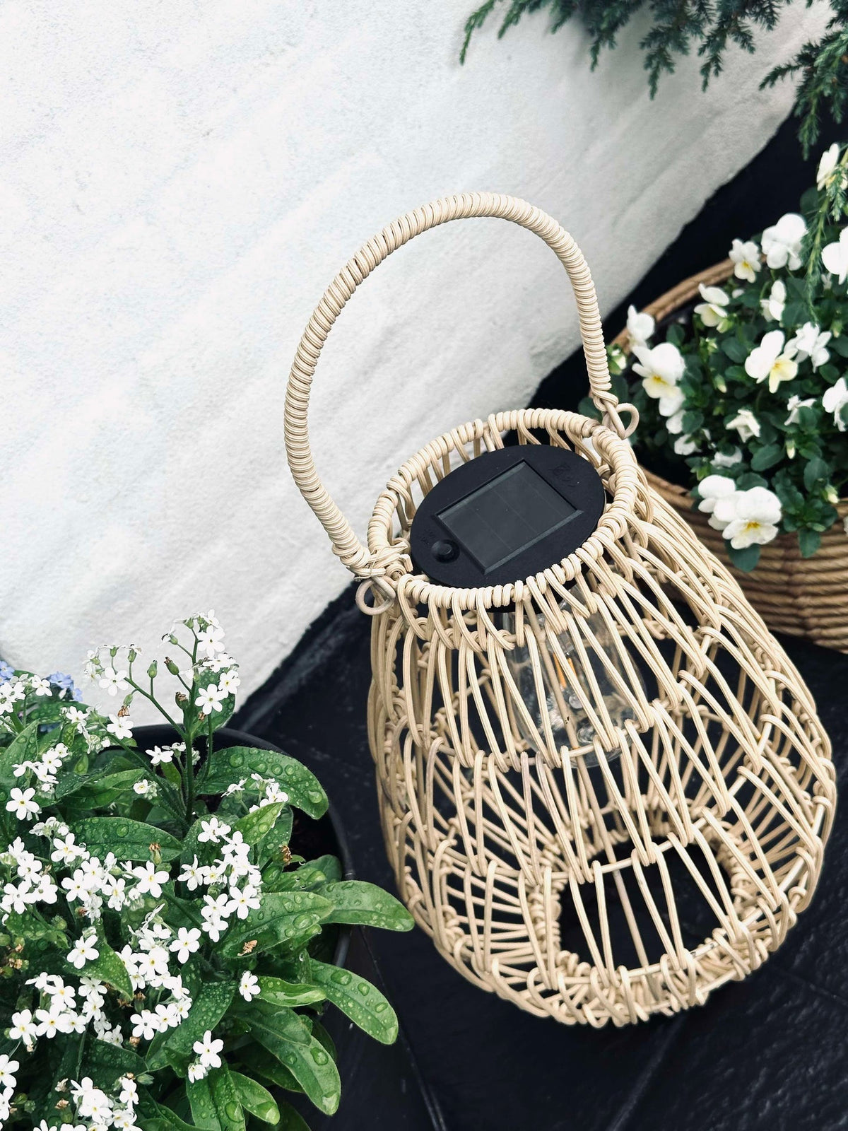 Lanterne solaire - Selma medium