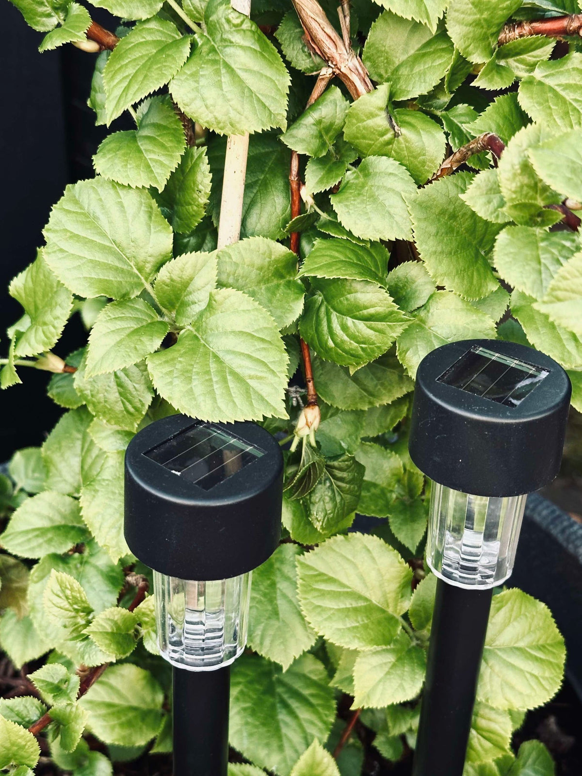 Fakkel Effekt Black – Lot de 4