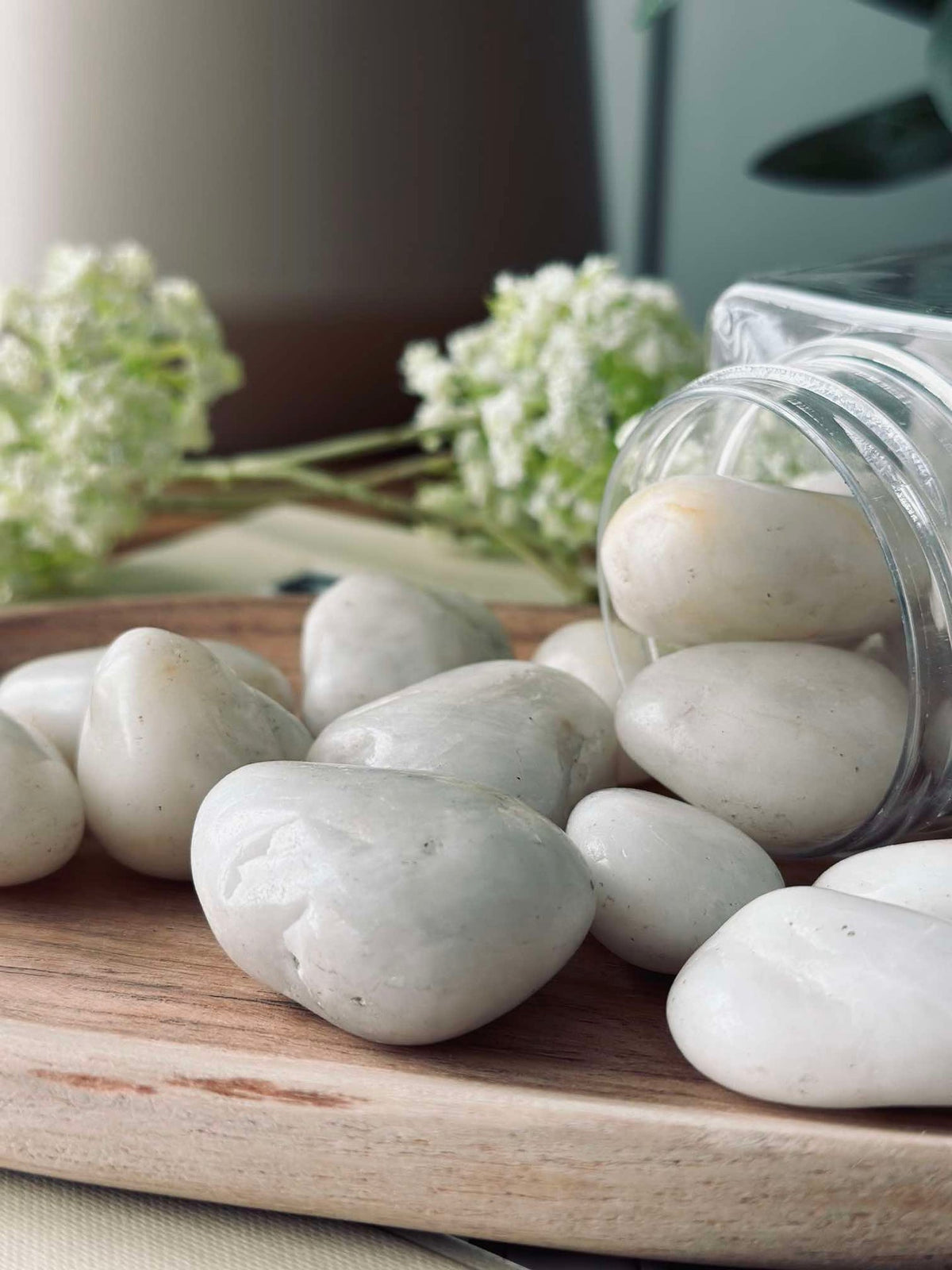Galets décoratifs - 850 grammes MIX white