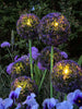 Allium ornemental à cellules solaires – Bleu