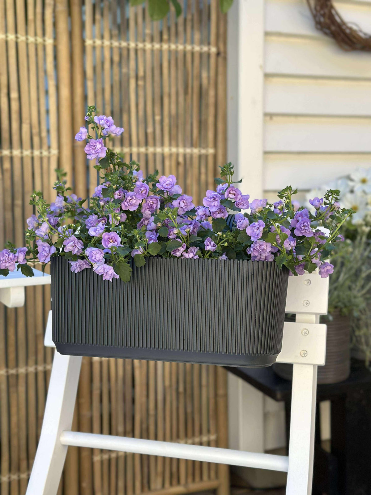 Bac à plantes avec suspension - Anthracite
