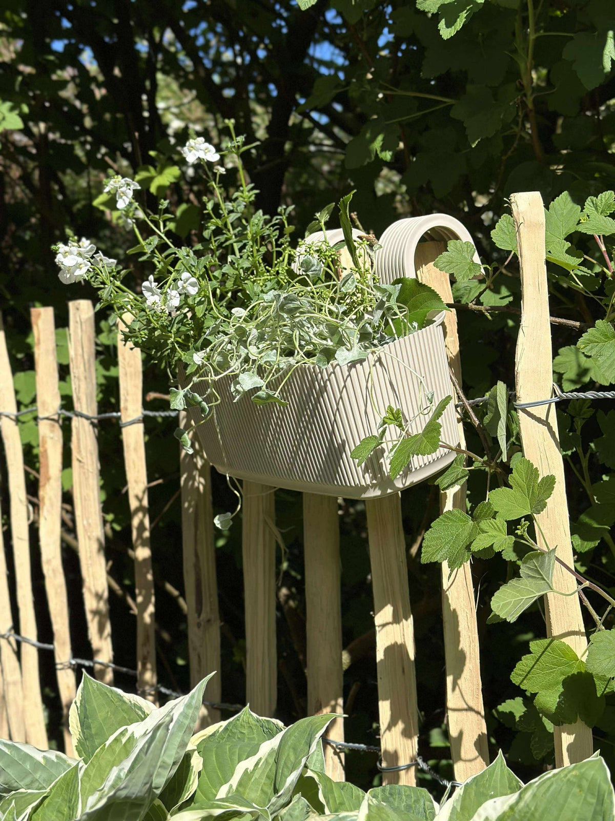 Jardinière avec suspension – Crème