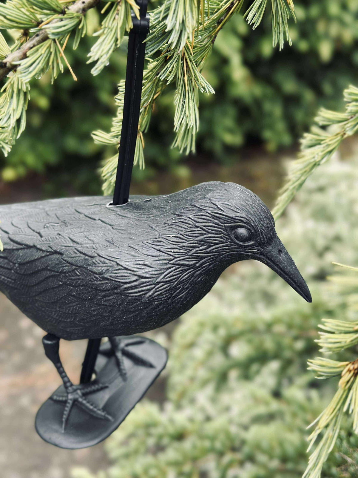 Oiseau en plastique noir
