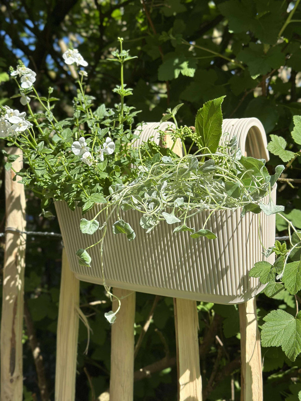 Jardinière avec suspension – Crème