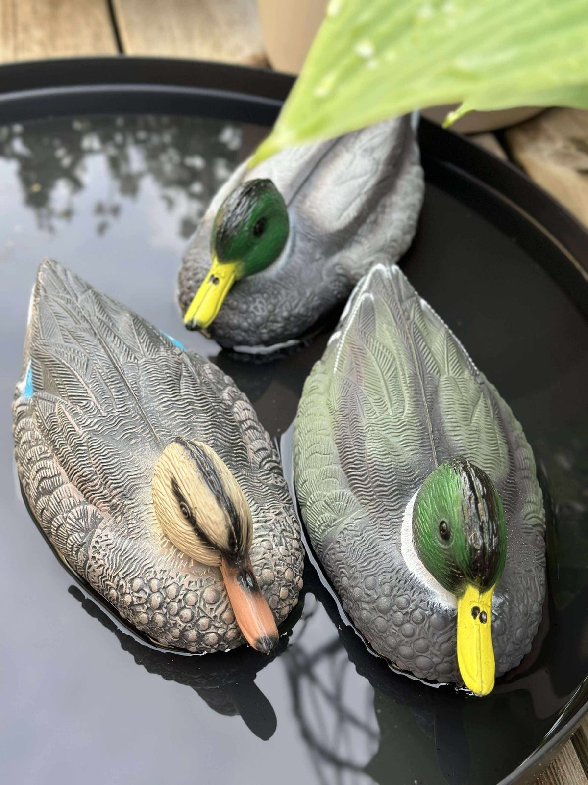 Canard flottant pour décoration de jardin - Mix