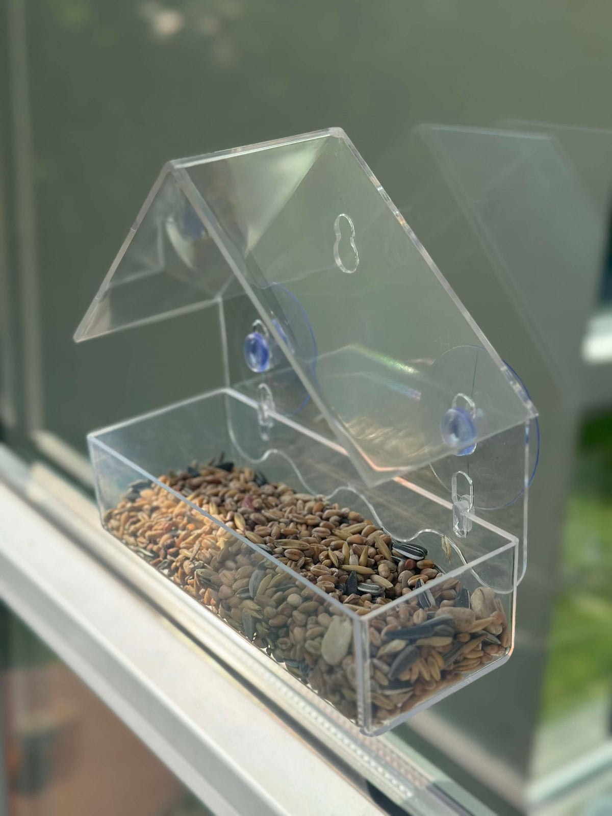 Mangeoire pour oiseaux avec ventouse
