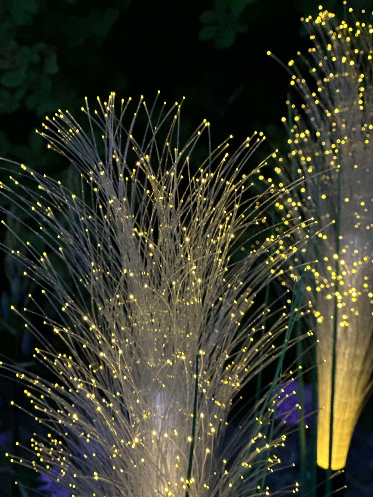 Pampas avec cellules solaires
