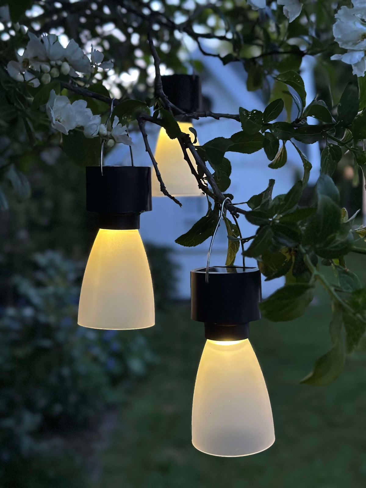 Mini lampe solaire