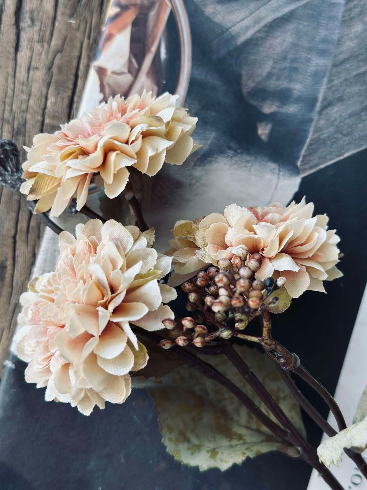 Tige de dahlia
