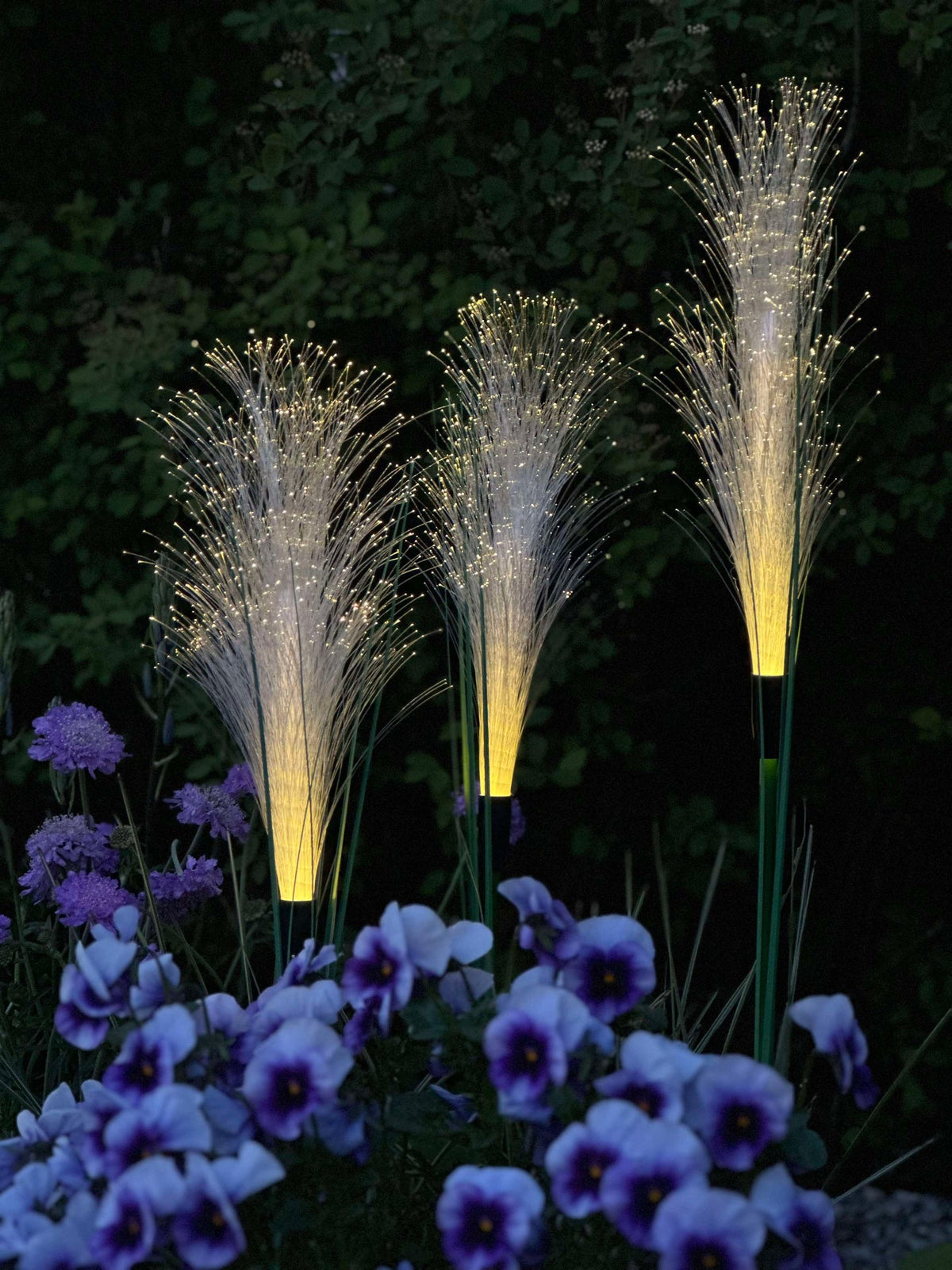 Pampas avec cellules solaires