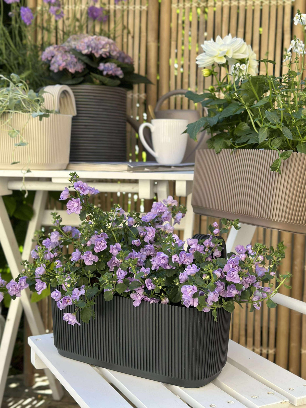 Bac à plantes avec suspension - Anthracite