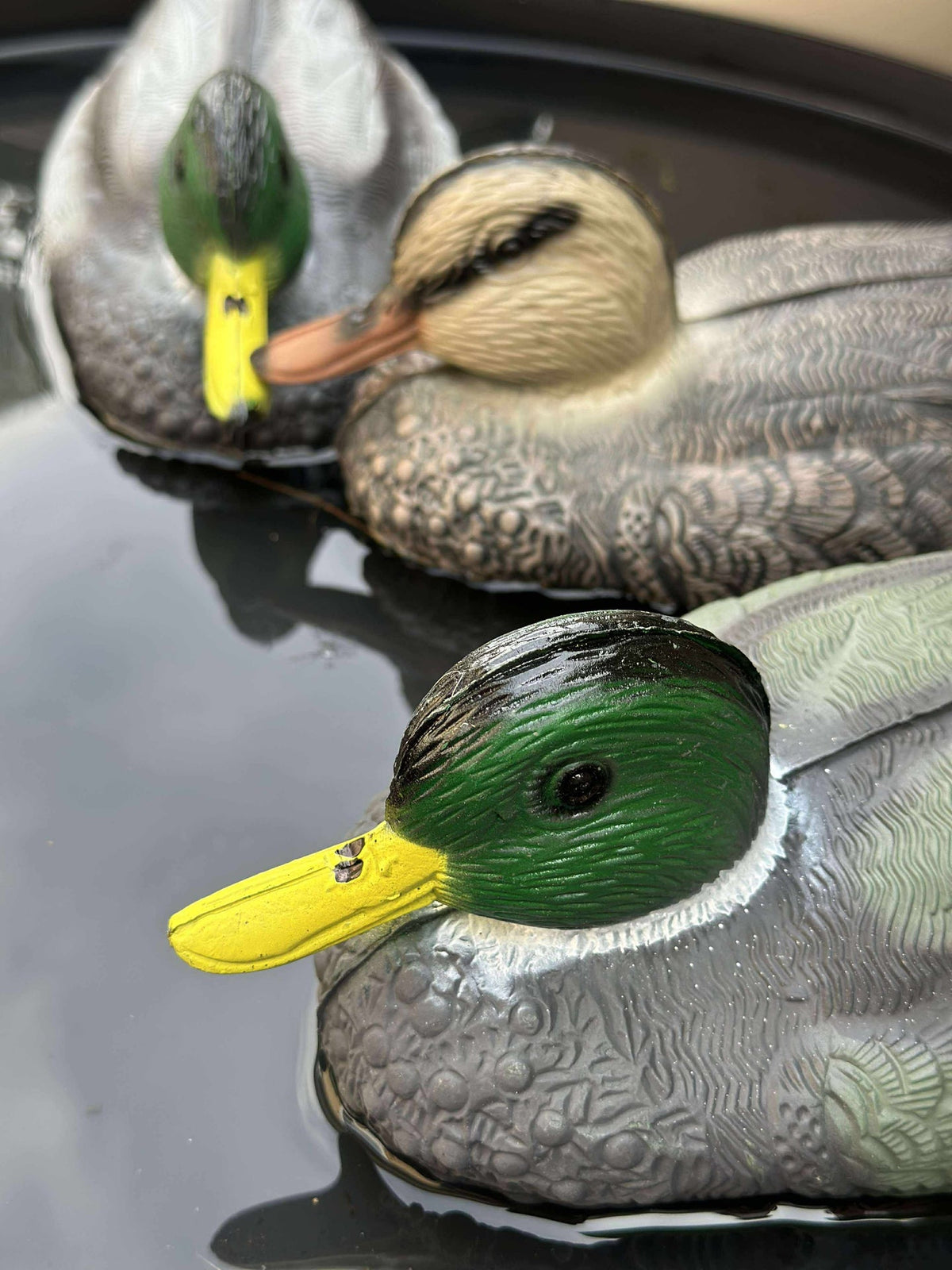 Canard flottant pour décoration de jardin - Mix