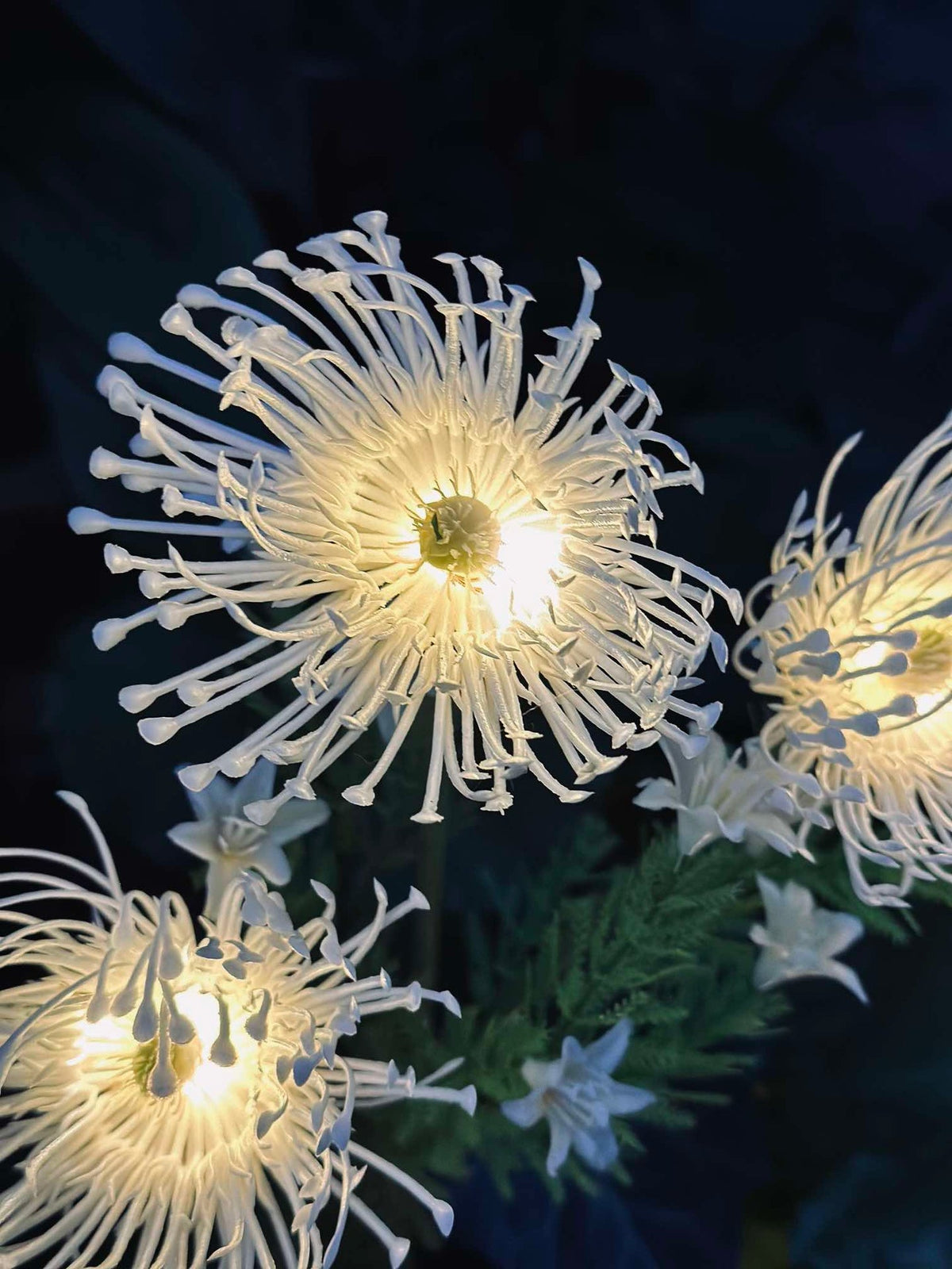 Fleur avec panneaux solaires - Spider Lili blanc