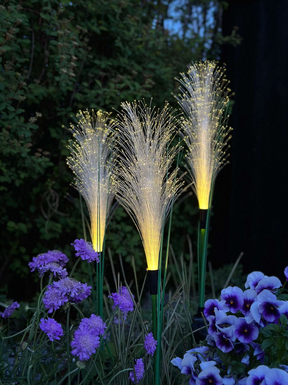 Pampas avec cellules solaires