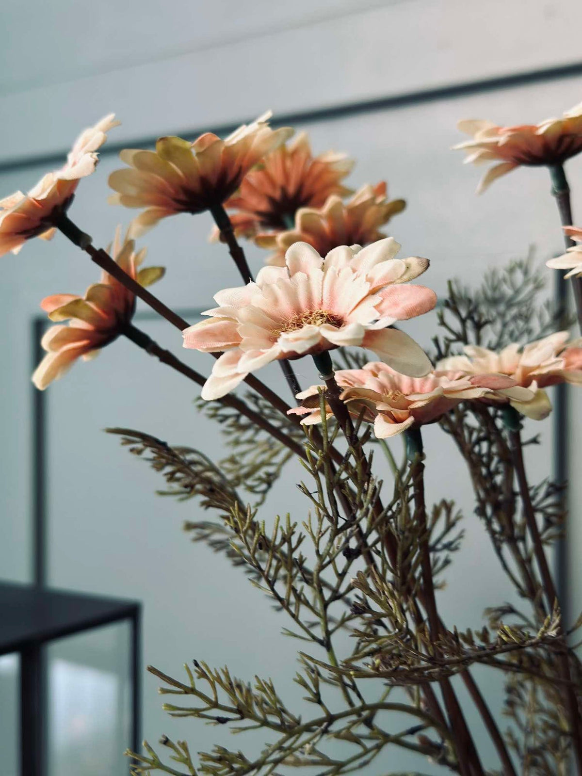 Tige de Chrysanthème