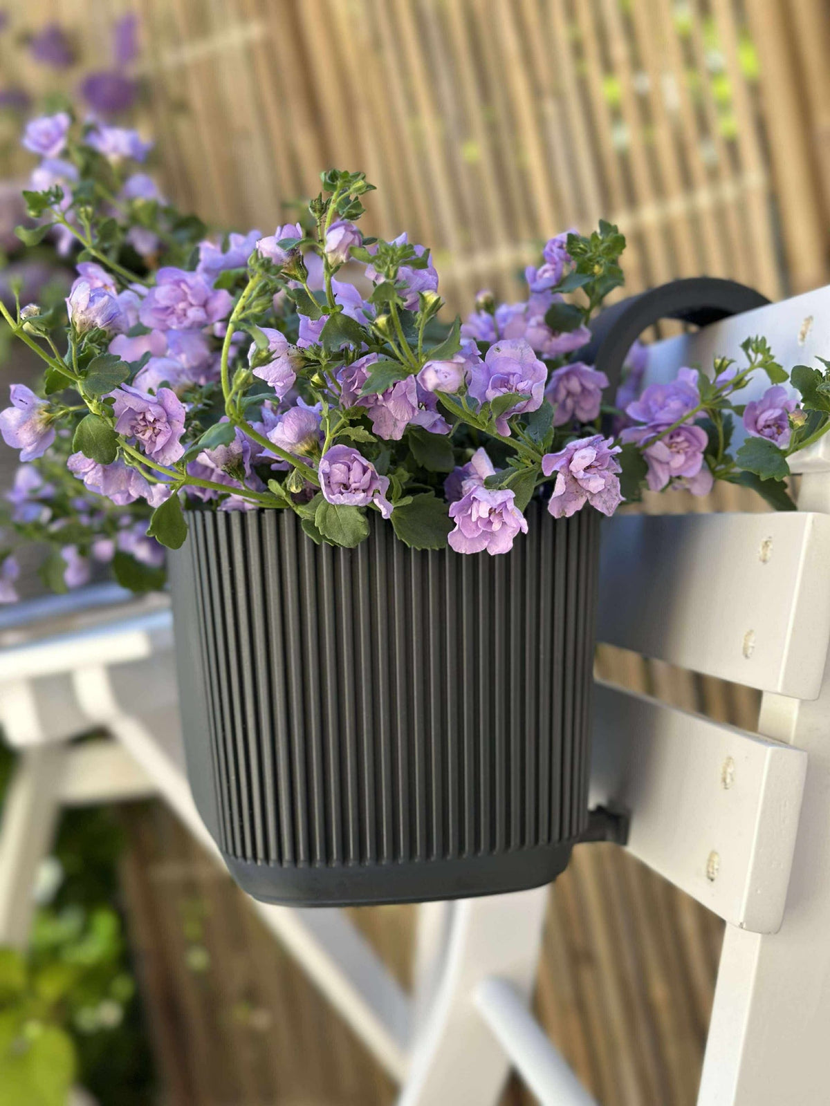 Bac à plantes avec suspension - Anthracite