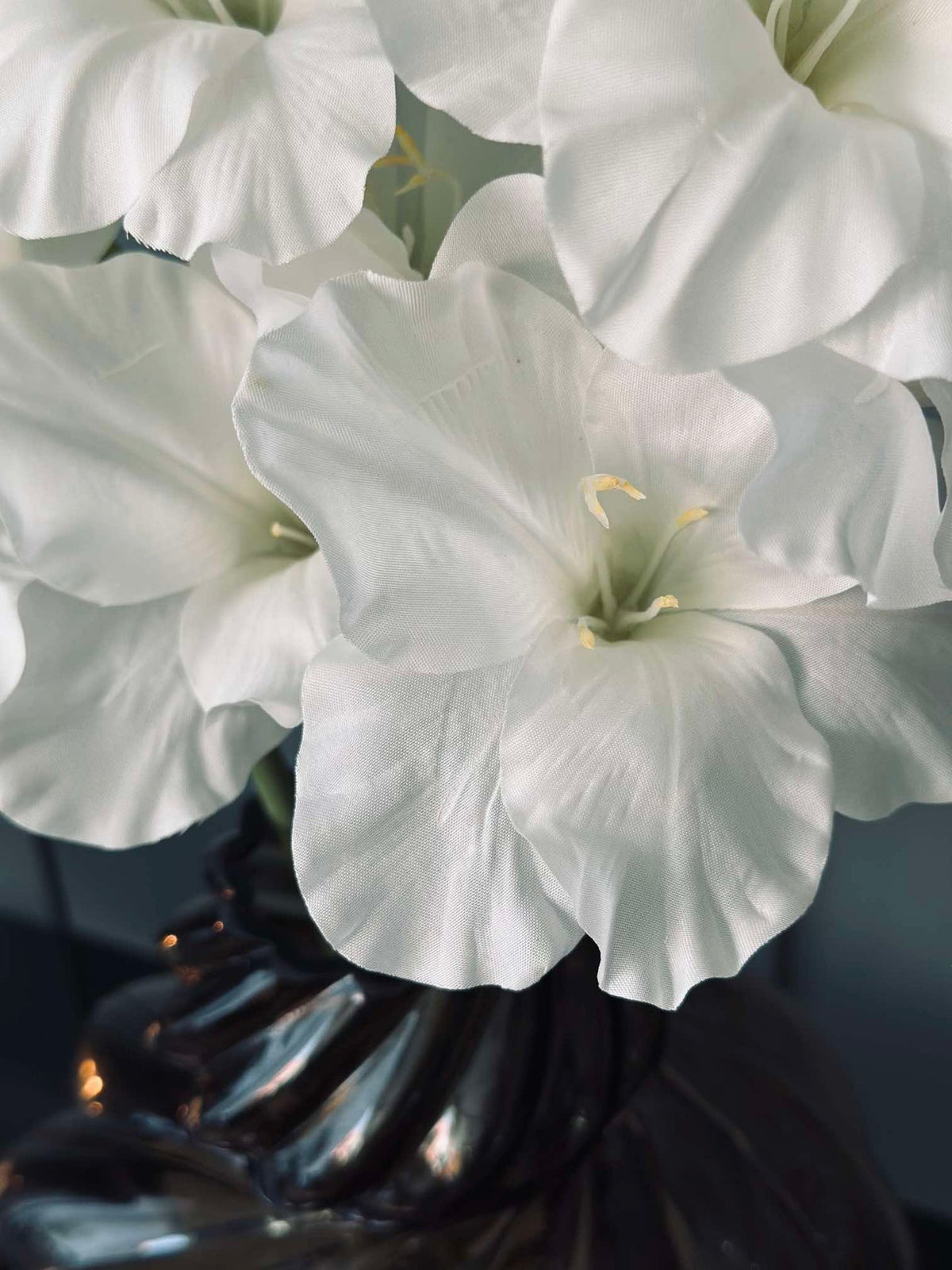 Tige de gladiolus