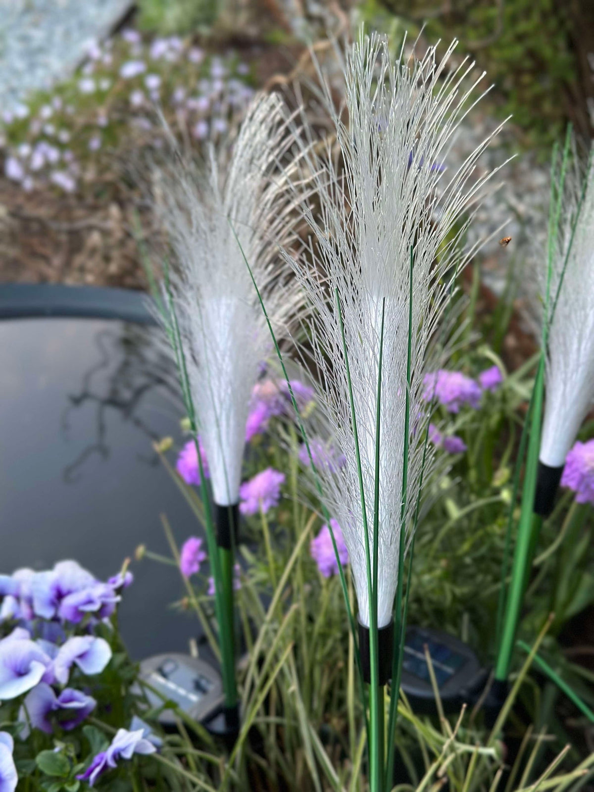 Pampas avec cellules solaires