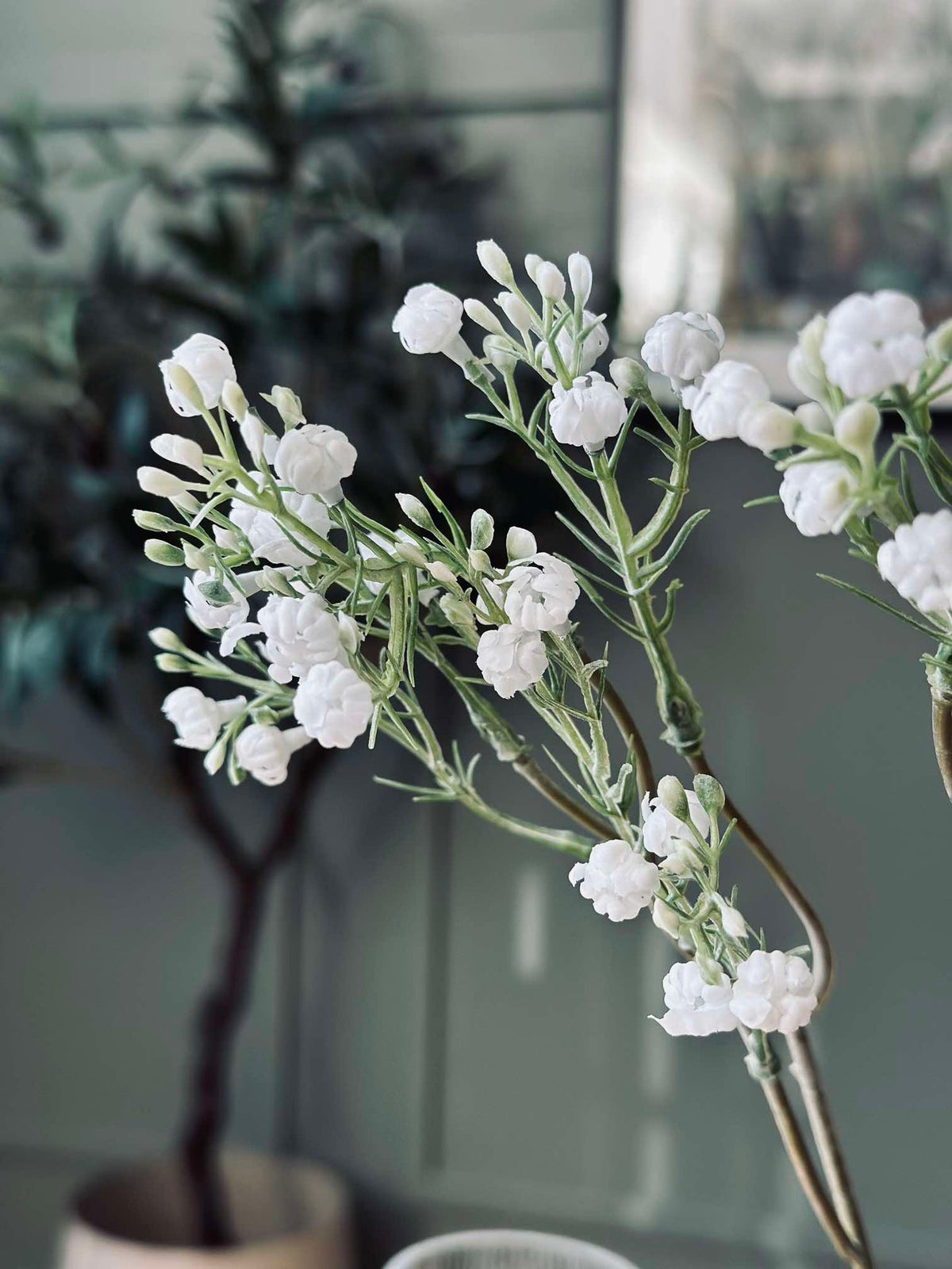 Tige de gypsophile
