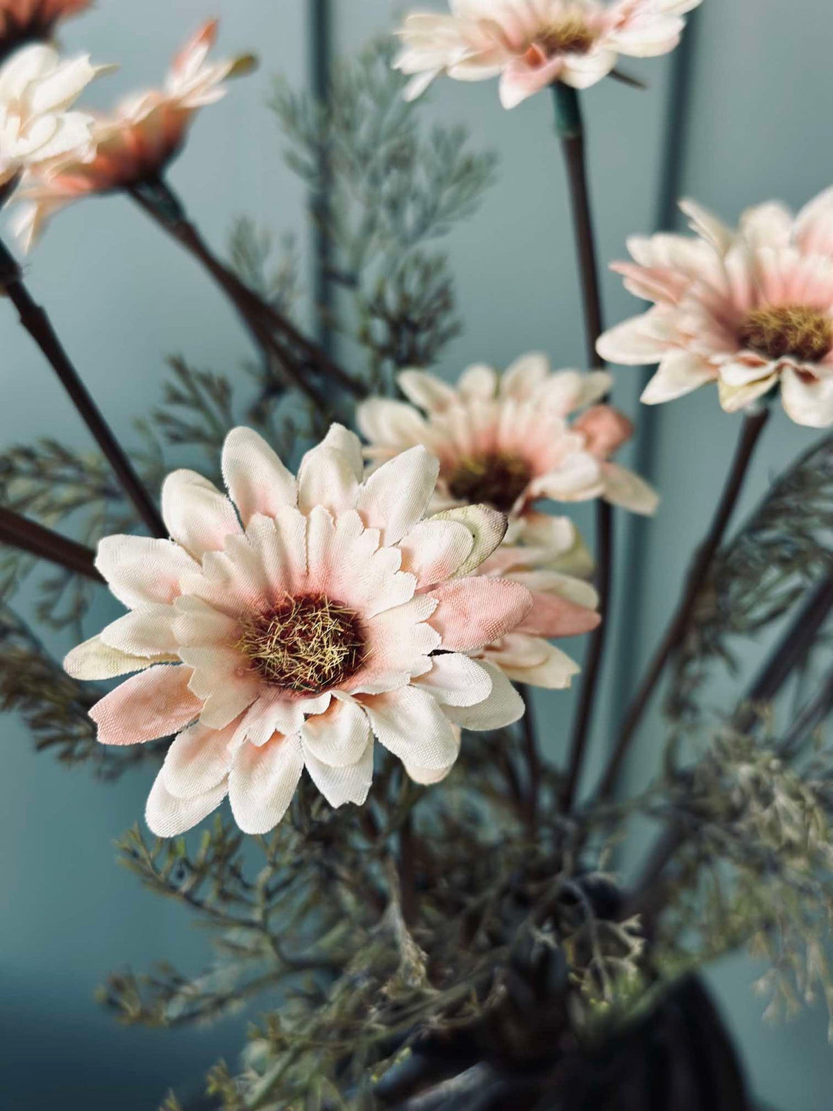 Tige de Chrysanthème