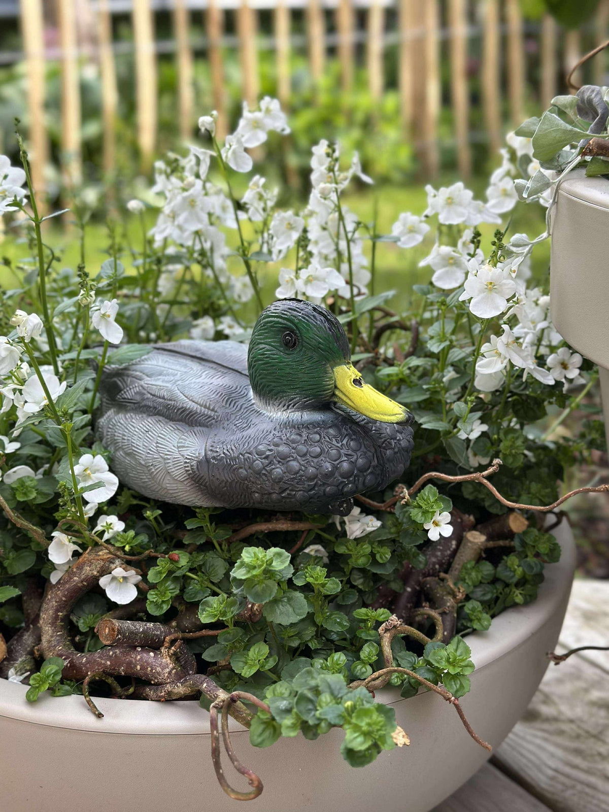 Canard flottant pour décoration de jardin - Mix
