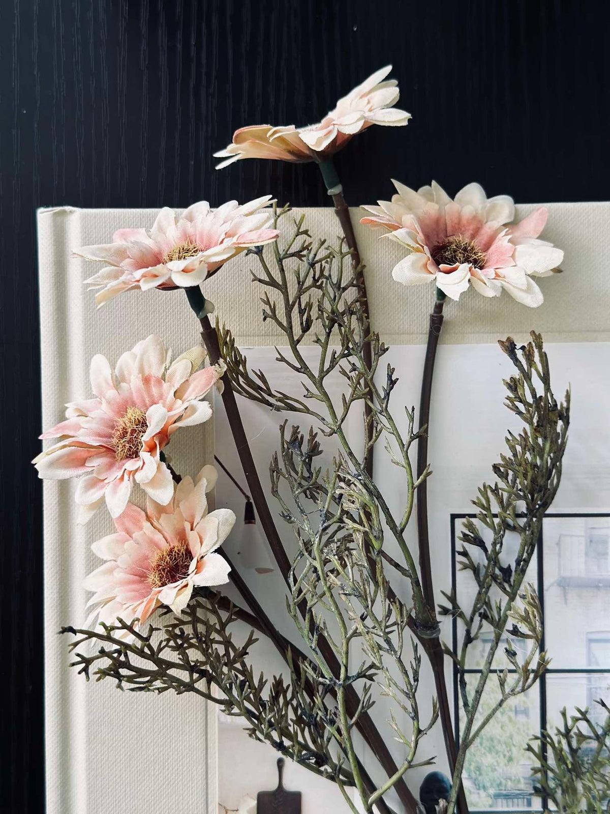 Tige de Chrysanthème