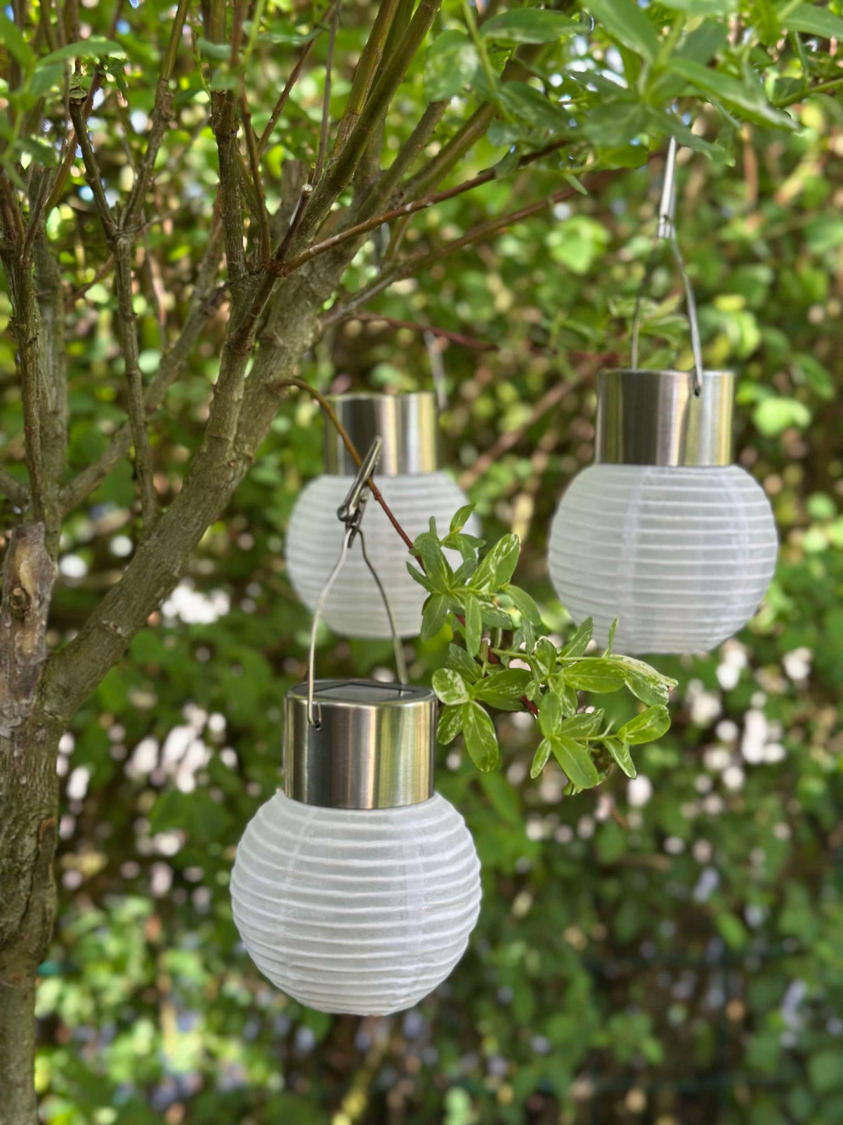 Mini lampes solaires - 3 pièces