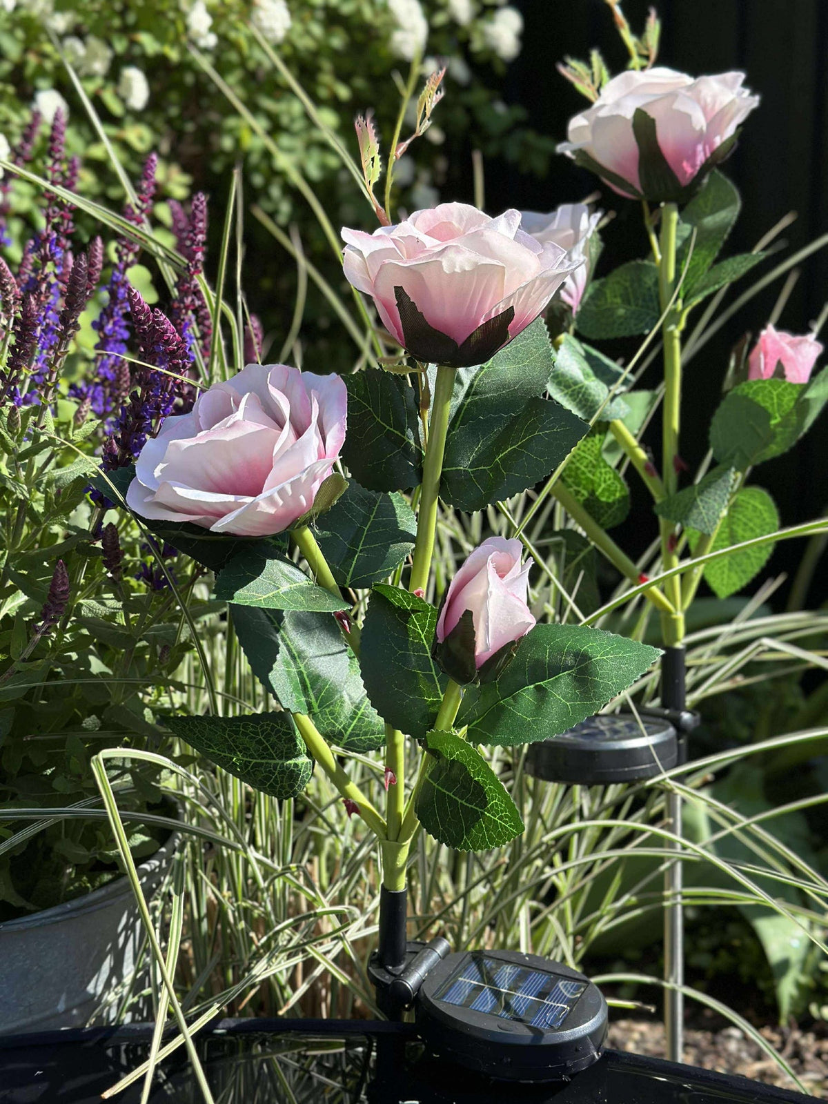 Rose avec cellules solaires - Rose
