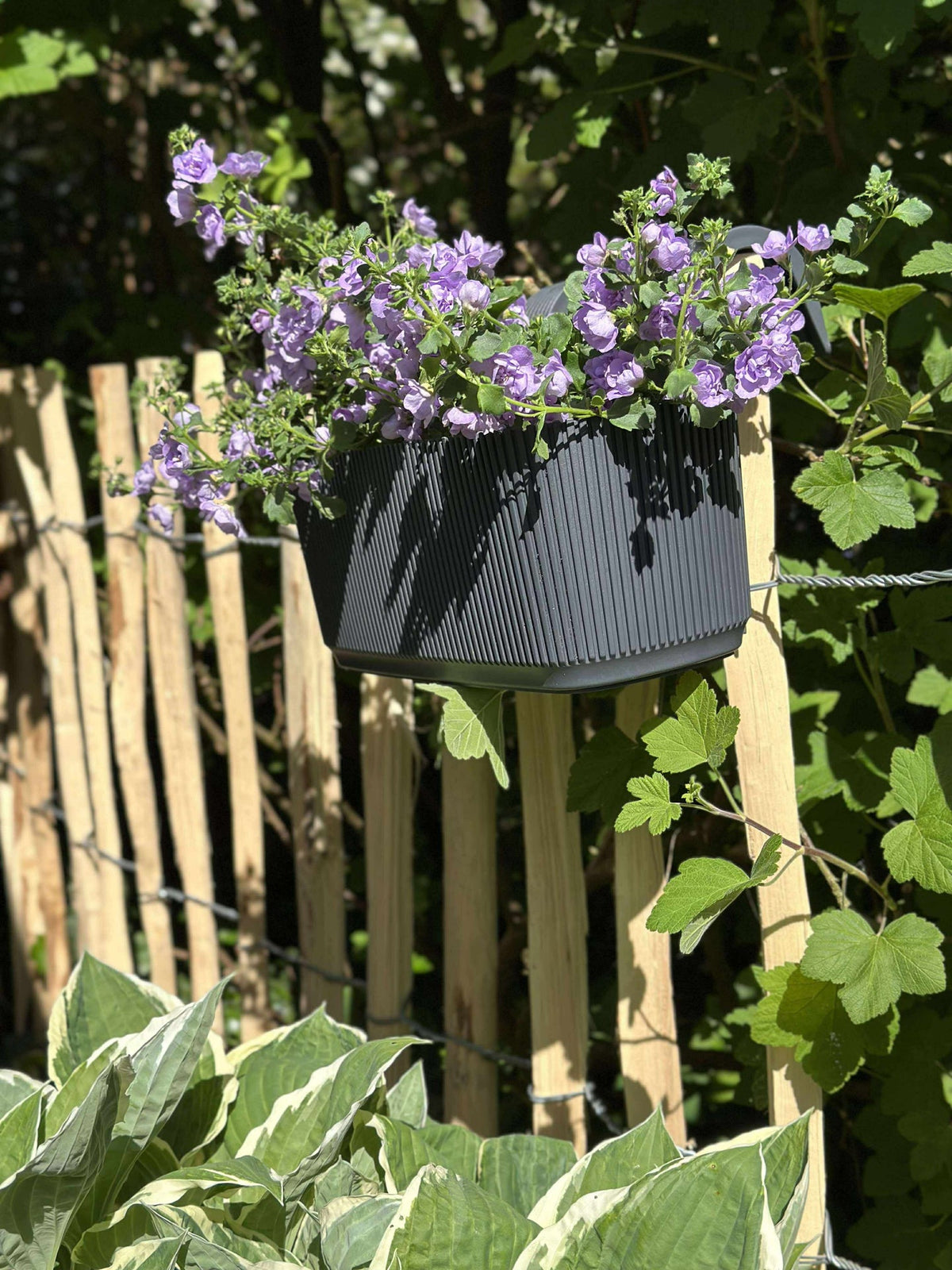 Bac à plantes avec suspension - Anthracite