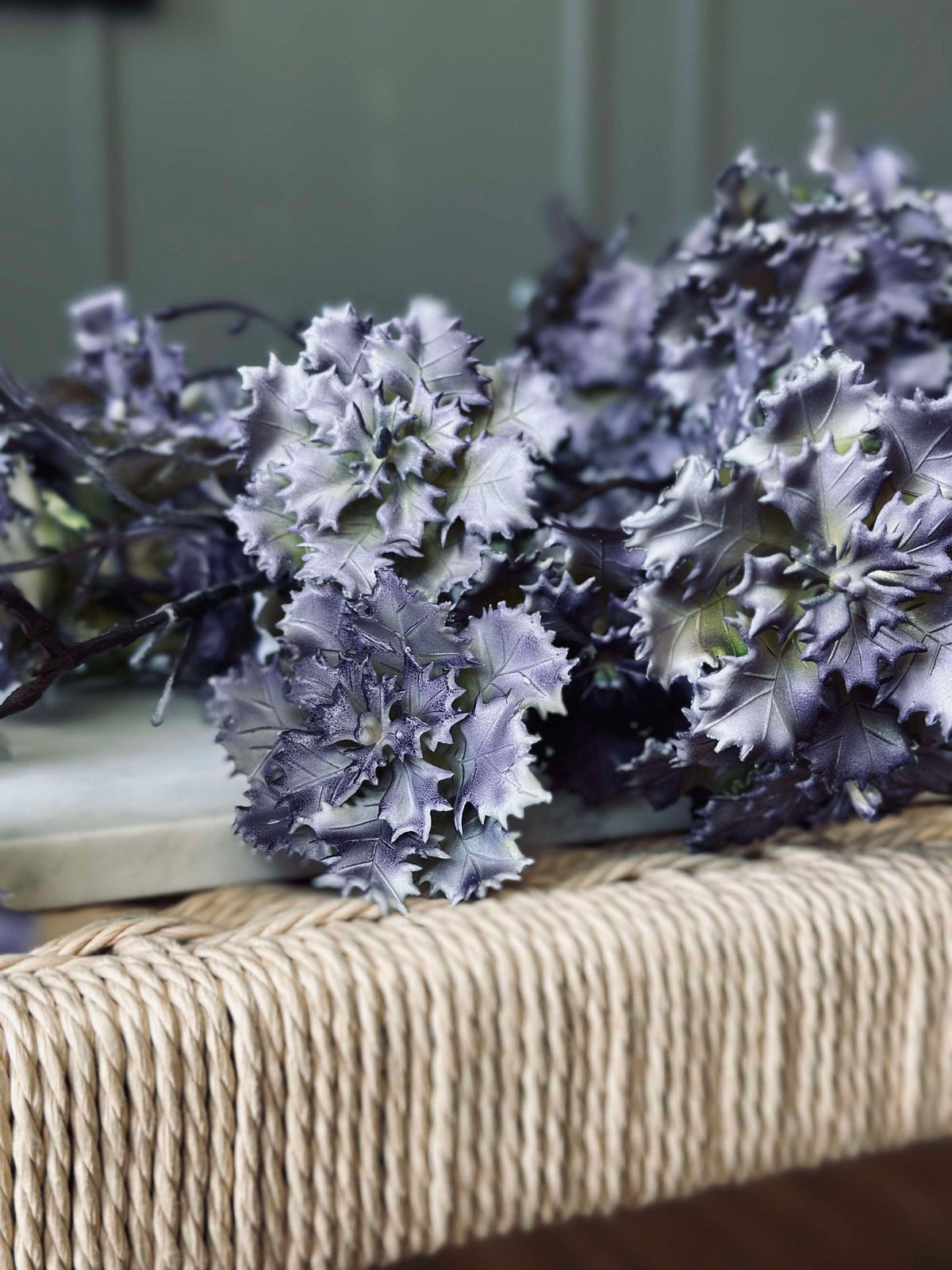 Fleur d’œillet