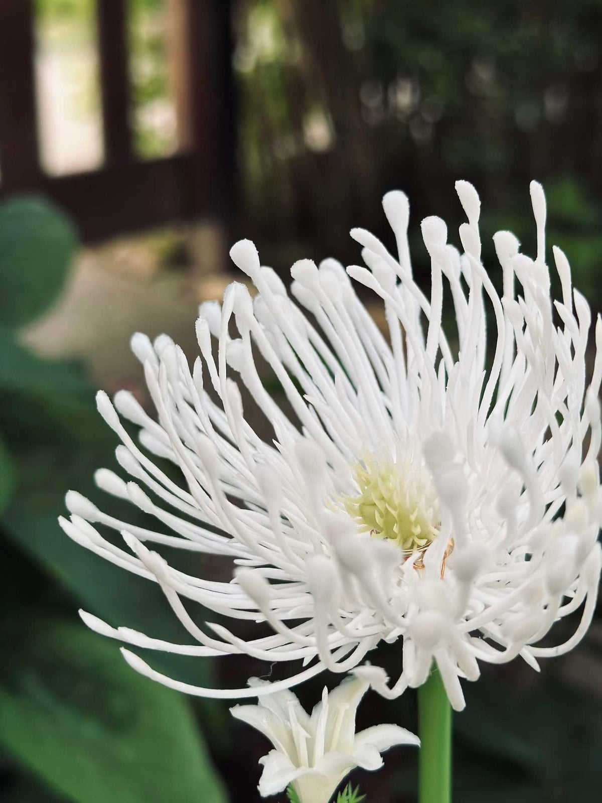Fleur avec panneaux solaires - Spider Lili blanc