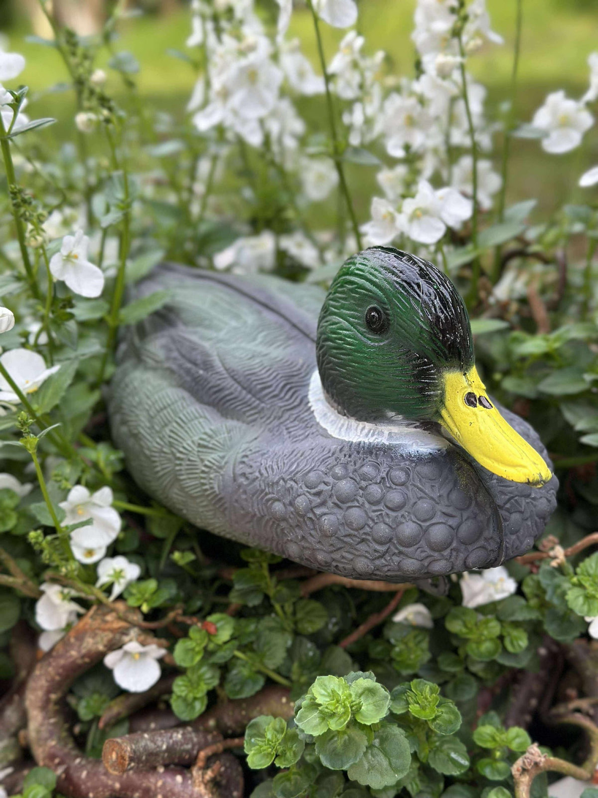 Canard flottant pour décoration de jardin - Mix