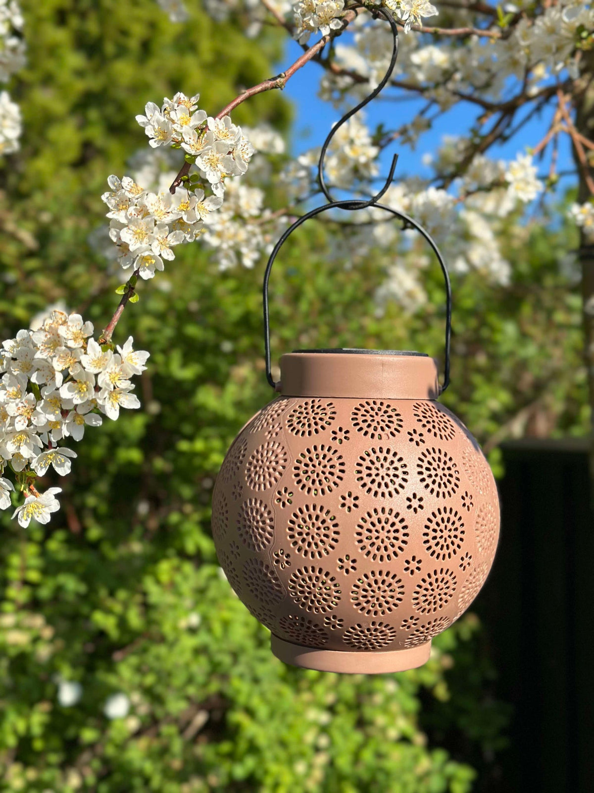 Lanterne avec suspension FIONA - Vieux rose